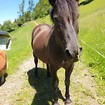Ahlhof