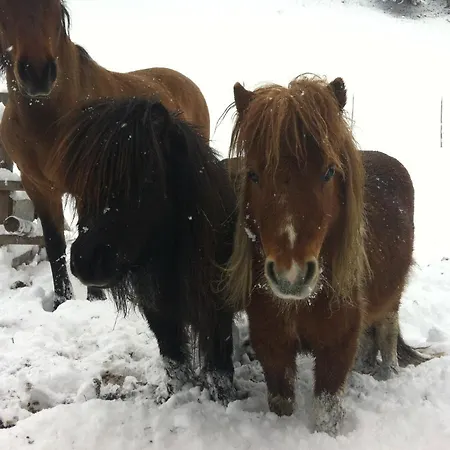 Alojamento de Turismo Rural Ahlhof *