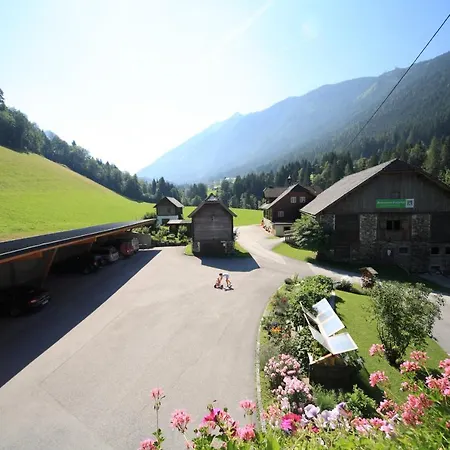 Çiftlik konaklama Ahlhof Schladming