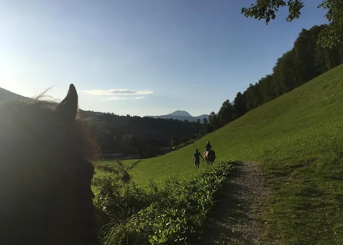 Vakantieboerderij Ahlhof